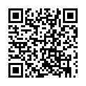 To view this 2020 Chevrolet Equinox Prospect Park PA from Car & Van World | Used BHPH Cars Prospect Park | Bad Credit Car Loan Specialists, please scan this QR code with your smartphone or tablet to view the mobile version of this page.