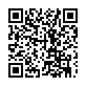 To view this 2017 Volkswagen Passat Prospect Park PA from Car & Van World | Used BHPH Cars Prospect Park | Bad Credit Car Loan Specialists, please scan this QR code with your smartphone or tablet to view the mobile version of this page.