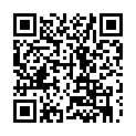 To view this 2016 Volkswagen Passat Prospect Park PA from Car & Van World | Used BHPH Cars Prospect Park | Bad Credit Car Loan Specialists, please scan this QR code with your smartphone or tablet to view the mobile version of this page.