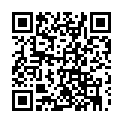 To view this 2013 Chevrolet Equinox Prospect Park PA from Car & Van World | Used BHPH Cars Prospect Park | Bad Credit Car Loan Specialists, please scan this QR code with your smartphone or tablet to view the mobile version of this page.