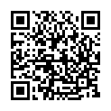 To view this 2002 Honda Civic Prospect Park PA from Car & Van World | Used BHPH Cars Prospect Park | Bad Credit Car Loan Specialists, please scan this QR code with your smartphone or tablet to view the mobile version of this page.