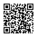 To view this 2014 Ford E-Series Van Prospect Park PA from Car & Van World | Used BHPH Cars Prospect Park | Bad Credit Car Loan Specialists, please scan this QR code with your smartphone or tablet to view the mobile version of this page.