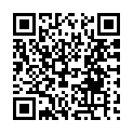 To view this 2012 Hyundai Tucson Prospect Park PA from Car & Van World | Used BHPH Cars Prospect Park | Bad Credit Car Loan Specialists, please scan this QR code with your smartphone or tablet to view the mobile version of this page.