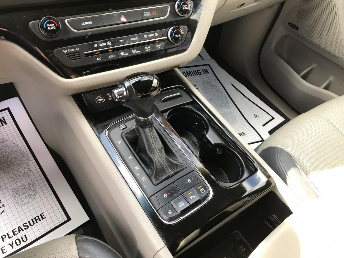2016 Brown /Tan Kia Sedona EX (KNDMC5C12G6) with an 3.3L V6 DOHC 24V engine, 6-Speed Automatic transmission, located at 577 Chester Pike, Prospect Park, PA, 19076, (610) 237-1015, 39.886154, -75.302338 - 2016 Kia Sedona EX: Only 106k miles, navigation system, backup camera, new PA inspection, runs LIKE NEW! This vehicle comes inspected and has been given a bumper to bumper safety check. It is very clean, reliable, and well maintained. We offer a unique pay plan that is known for being the easiest - Photo#15