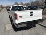 2013 White /Gray Ford F-150 XLT 8-ft. Bed 2WD (1FTMF1CMXDK) with an 3.7L V6 DOHC 24V engine, 6-Speed Automatic transmission, located at 577 Chester Pike, Prospect Park, PA, 19076, (610) 237-1015, 39.886154, -75.302338 - 2013 Ford F150: Only 129k miles, 8 Foot Long Bed, new PA inspection, bed liner, SUPER CLEAN, FLEET MAINTAINED! This vehicle comes inspected and has been given a bumper to bumper safety check. It is very clean, reliable, and well maintained. We offer a unique pay plan that is known for being the e - Photo#5